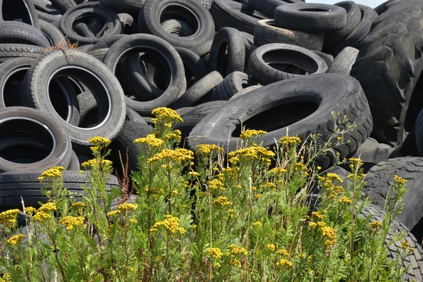 France, a pile of waste tires in Arthies — Stock Photo, Image