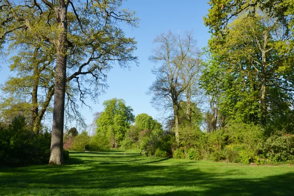 Franciaország, a festői szépségű városban saint germain en-laye — Stock Fotó