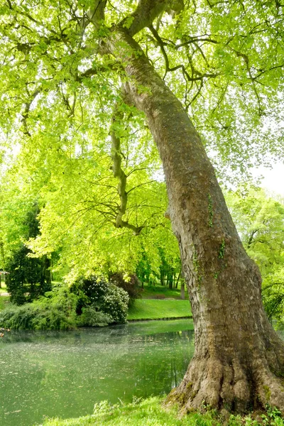 Ile de France, pittoresca città di Poissy — Foto Stock