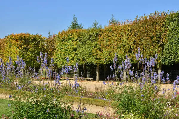 Ile de France, historický palác Versailles — Stock fotografie