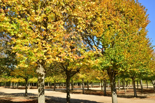 Ile de France, tarihsel Versailles Sarayı — Stok fotoğraf