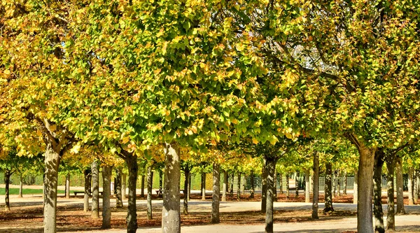 Ile de France, zabytkowym pałacu wersalskiego — Zdjęcie stockowe