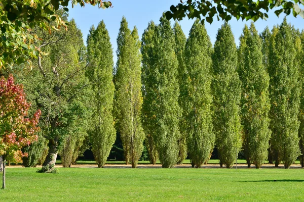 Ile de France, tarihsel Versailles Sarayı — Stok fotoğraf