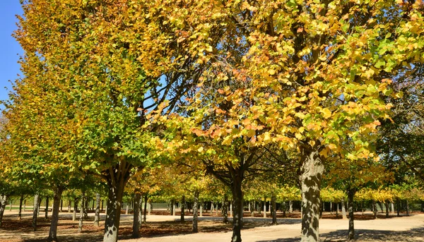 Ile de France, tarihsel Versailles Sarayı — Stok fotoğraf