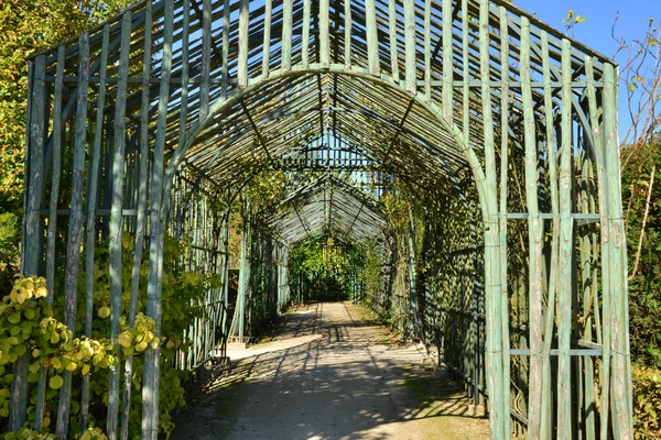 Ile de france, der Garten des petit trianon im Schloss von Versailles — Stockfoto