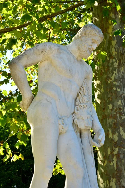 Ile de France, el histórico Palacio de Versalles —  Fotos de Stock