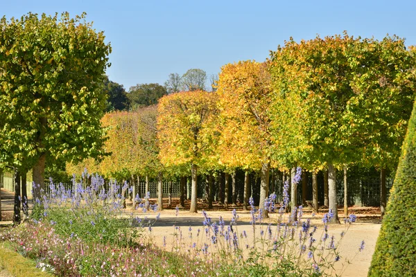 Ile de France, a történelmi Versailles-i palota — Stock Fotó