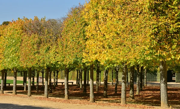 Ile de France, tarihsel Versailles Sarayı — Stok fotoğraf