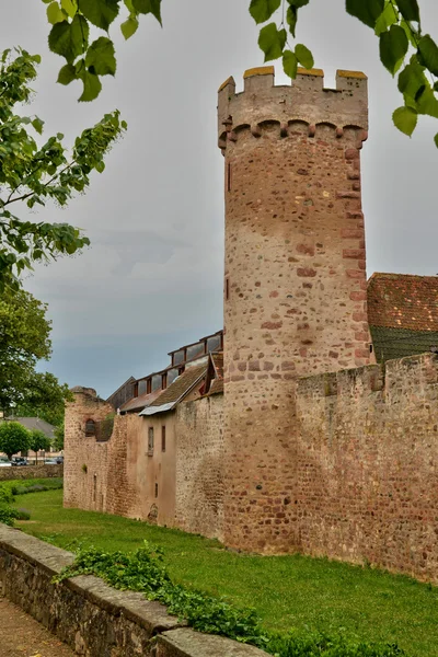 Bas rhin, die malerische Stadt obernai im Elsass — Stockfoto