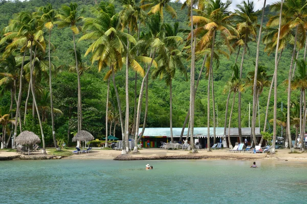 L'île pittoresque de Sainte-Lucie dans les Indes occidentales — Photo