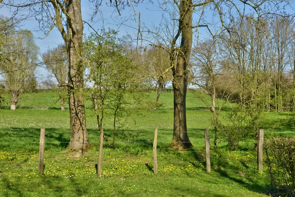 França, paisagem pitoresca de Saint Cyr sur Menthon — Fotografia de Stock