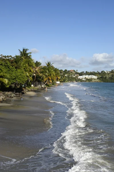 Landschaft von le diamant in martinique — Stockfoto