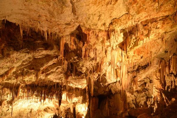 Eslovenia, pintoresca e histórica cueva de Postojna — Foto de Stock