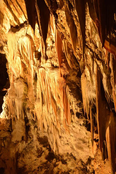 Slovenia, picturesque and historical cave of Postojna — Stock Photo, Image