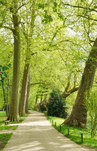 Ile de France, picturesque city of Poissy — Stock Photo, Image