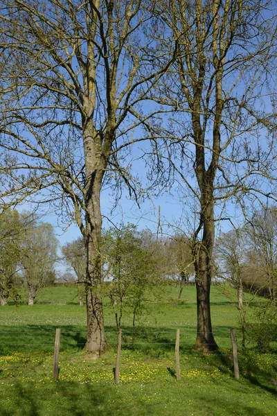 Francia, pintoresco paisaje de Saint Cyr sur Menthon — Foto de Stock