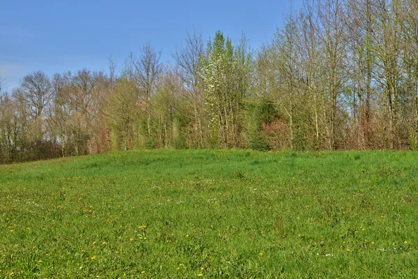 Frankreich, malerische landschaft von saint cyr sur menthon — Stockfoto