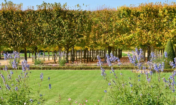 Ile de France, la storica Reggia di Versailles — Foto Stock