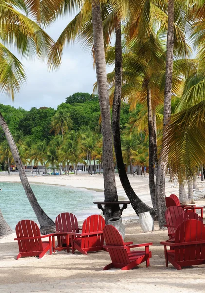 Frankrike, sainte anne i guadeloupe — Stockfoto