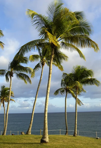 La costa de Le Diamant en Martinica — Foto de Stock