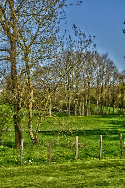 France, picturesque landscape of Saint Cyr sur Menthon — Stock Photo, Image