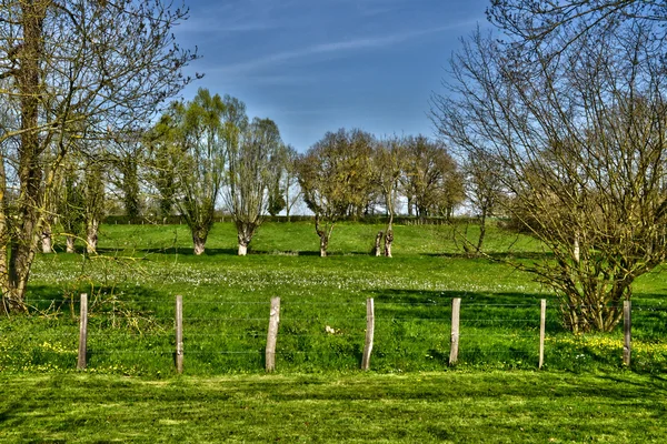 Frankreich, malerische landschaft von saint cyr sur menthon — Stockfoto