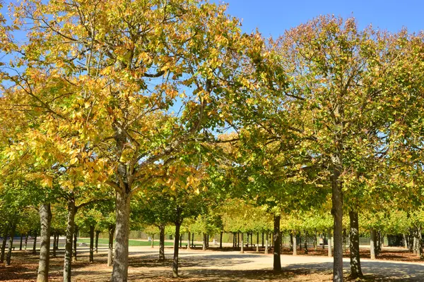 Ile de France, tarihsel Versailles Sarayı — Stok fotoğraf