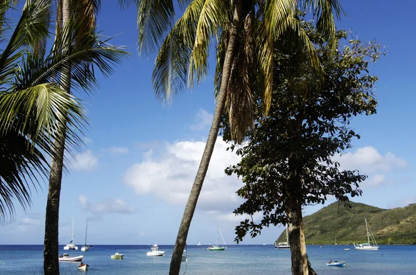 Landschap van Les Anses d Arlet, Grande Anse in Martinique — Stockfoto