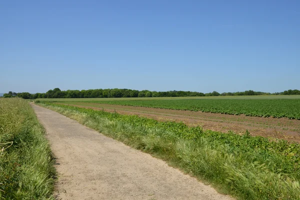 Frankreich, das malerische Dorf auvers sur oise — Stockfoto