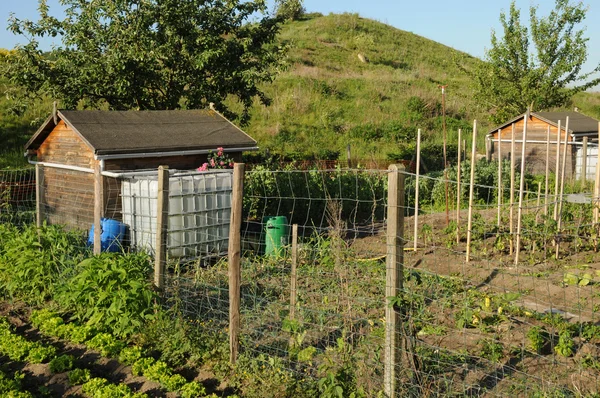 Frankrike, tilldelning trädgård i les mureaux — Stockfoto