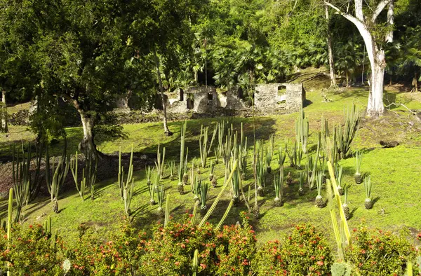 风景如画的居住昂斯 Latouche 花园在马提尼克岛 — 图库照片