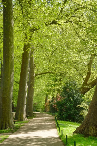 Ile de France, picturesque city of Poissy — Stock Photo, Image