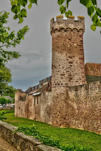 Dolny Ren, malowniczego miasta Obernai w Alzacji — Zdjęcie stockowe