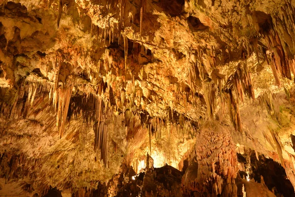 Slovenien, pittoreska och historiska grotta i Postojna — Stockfoto