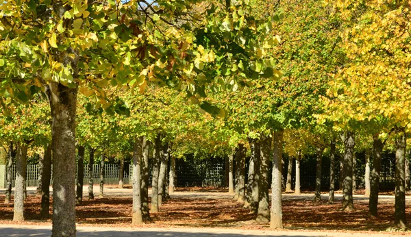 Ile de France, tarihsel Versailles Sarayı — Stok fotoğraf