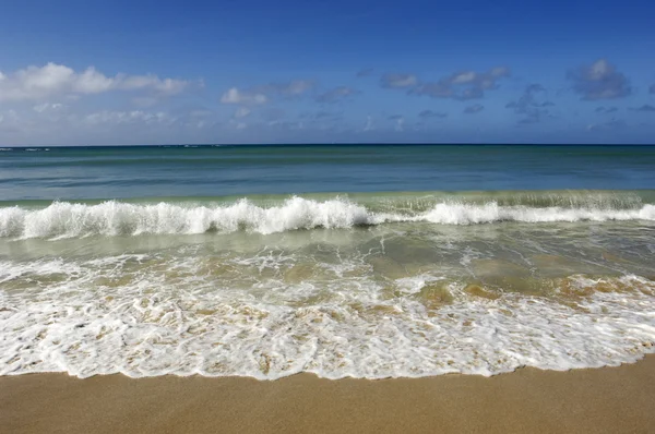 Martinique, Sainte Anne, beach of  les Salines — Stock Photo, Image