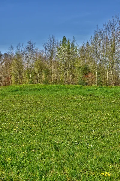 Frankreich, malerische landschaft von saint cyr sur menthon — Stockfoto
