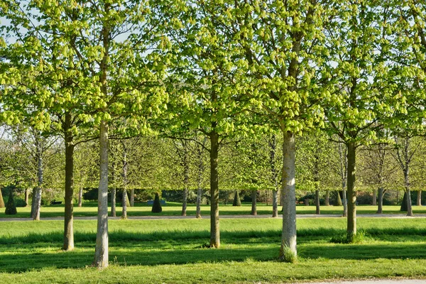 Francia, el pintoresco parque del castillo de Saint Germain en Laye — Foto de Stock