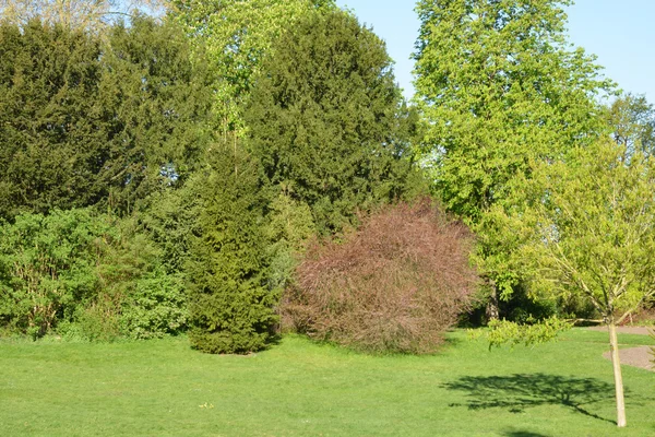 Francie, malebné město saint germain en laye — Stock fotografie