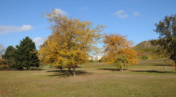 Francia, Sautour park en Les Mureaux — Foto de Stock