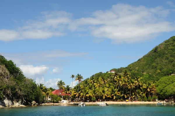 Kust van les saintes in guadeloupe — Stockfoto