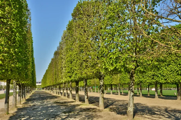 Francia, el pintoresco parque del castillo de Saint Germain en Laye — Foto de Stock