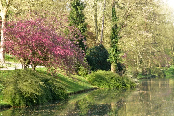 Ile de France, pittoresca città di Poissy — Foto Stock