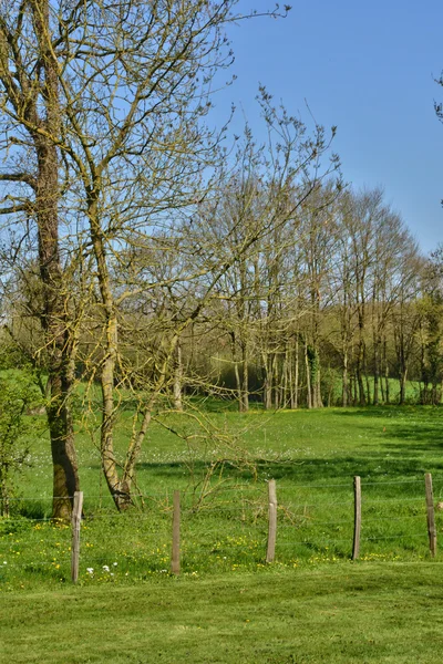 Frankrijk, pittoreske landschap van Saint Cyr sur Menthon — Stockfoto