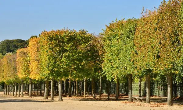 Ile de France, o histórico Palácio de Versalhes — Fotografia de Stock