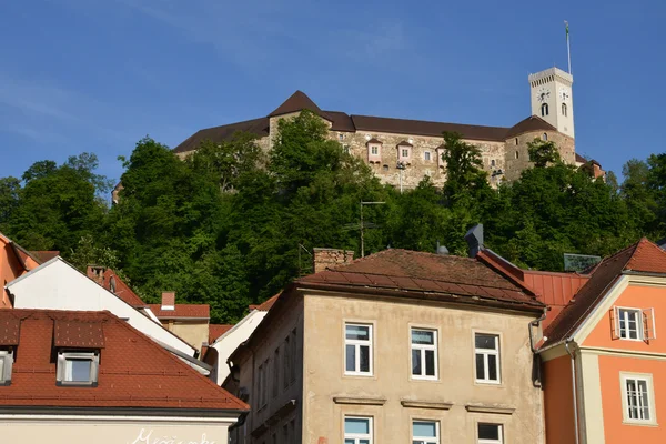 Slovenya, resim gibi ve tarihi Ljubljana kenti — Stok fotoğraf