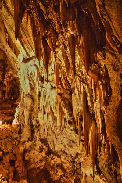 Slovenia, picturesque and historical cave of Postojna — Stock Photo, Image