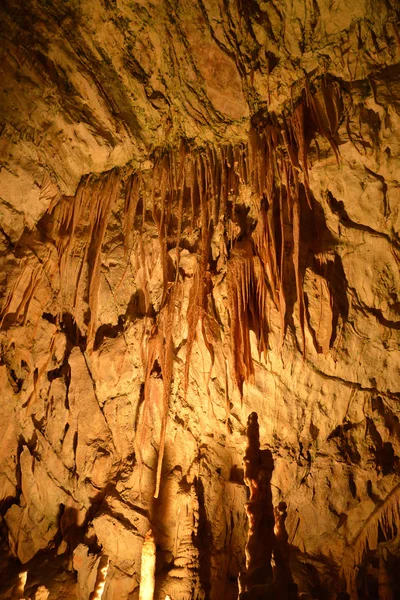 Slovenia, picturesque and historical cave of Postojna — Stock Photo, Image