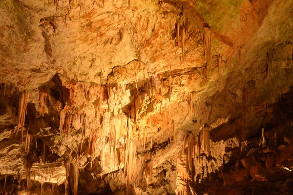 Eslovênia, caverna pitoresca e histórica de Postojna — Fotografia de Stock