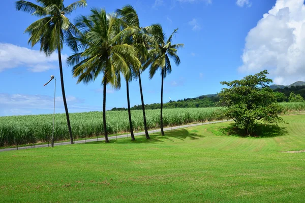 Martinique, pitoresk şehir Saint Pierre Batı Hint Adaları — Stok fotoğraf